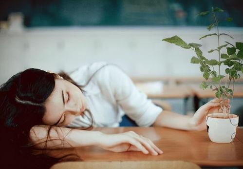 爱如火娱乐吃瓜酱,揭秘娱乐圈幕后风云  第2张